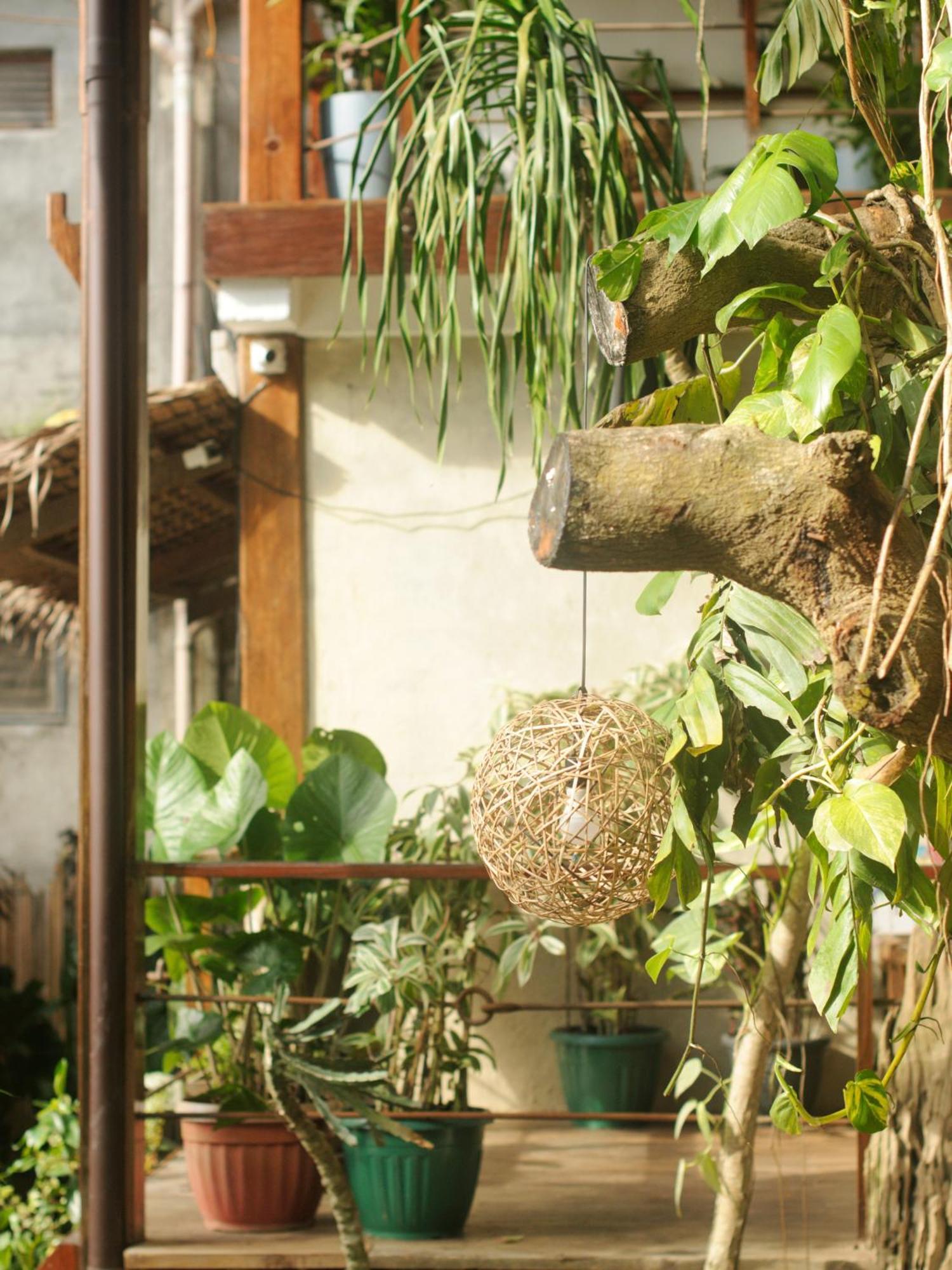 Bluemango Rooms&Villas El Nido Esterno foto