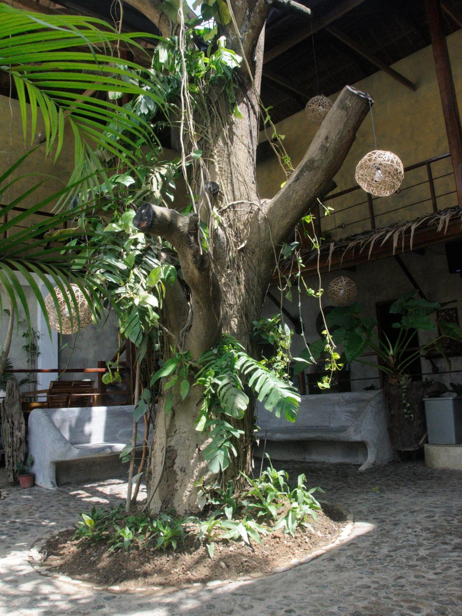 Bluemango Rooms&Villas El Nido Esterno foto