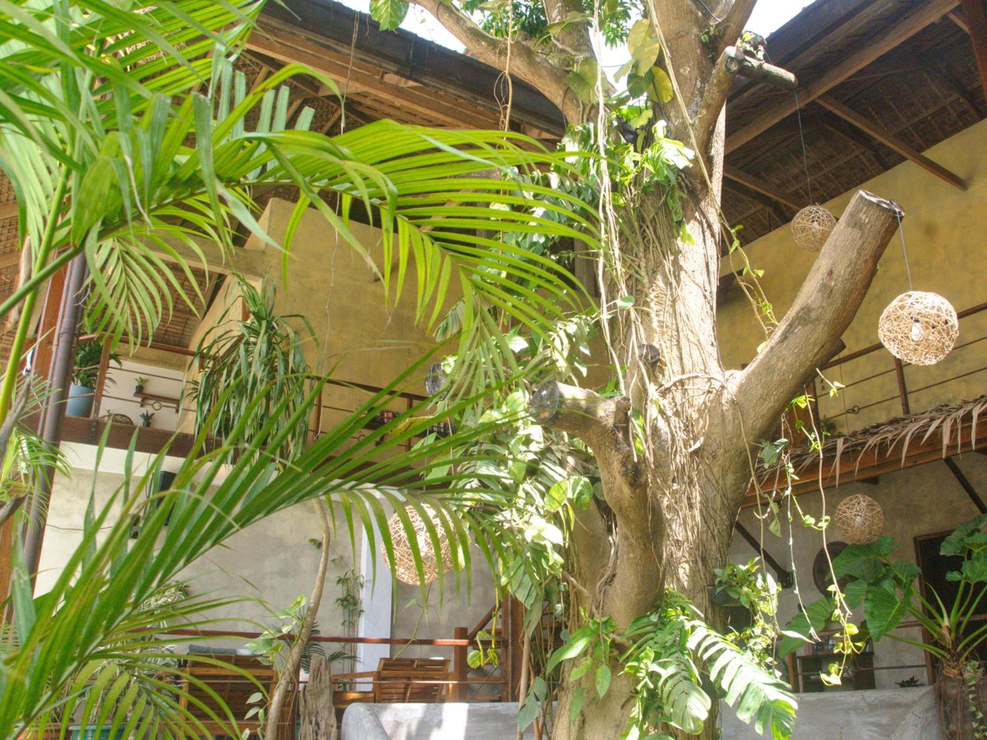 Bluemango Rooms&Villas El Nido Esterno foto